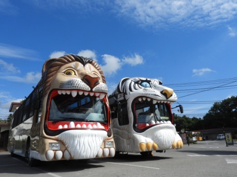 那須サファリパークでサファリバス マイカー無料 1都4県民限定 いこーよニュース