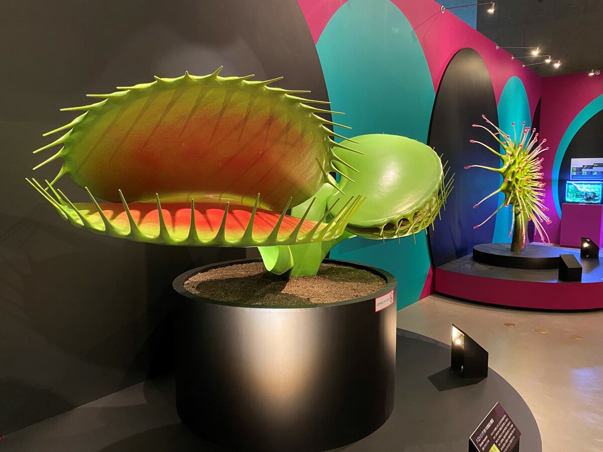 招待券あり 大阪で学べる 植物展 開催 巨大花や食虫植物も いこーよニュース