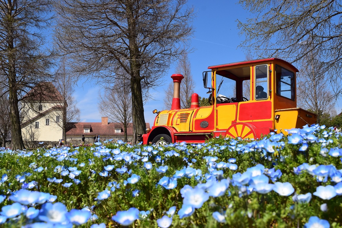 関西 絶対おすすめ Gw 5月の親子向けおでかけ先まとめ いこーよニュース