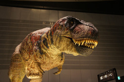 浦安 イクスピアリ でディズニー展 歴代イベントがよみがえる いこレポ