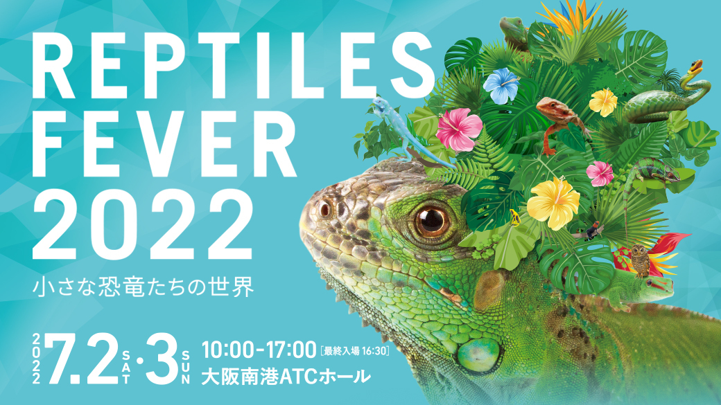 大阪市に「小さな恐竜」が大集合！ 爬虫類＆小動物とふれあえる