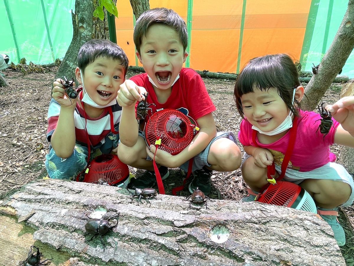 群馬県で昆虫採集イベント 巨大虫かごにカブト・クワガタ5千匹 | いこ