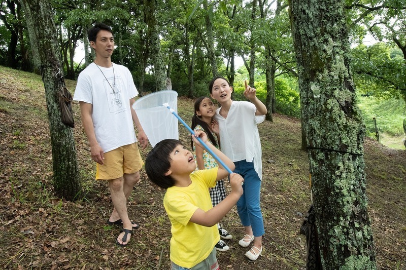 22 東京近郊 夏休みイベントおすすめ22選 恐竜 納涼 体験多数 いこレポ 22 東京近郊 夏休みイベントおすすめ22選 恐竜 納涼 体験多数 いこレポ