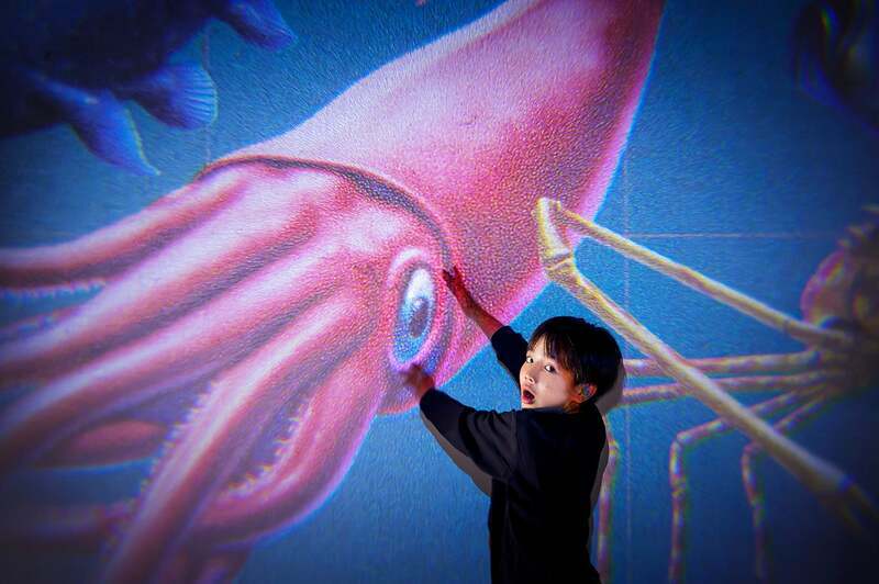 図鑑の世界に入り込める実験キット発売 恐竜や星空を自宅で体感 | いこ