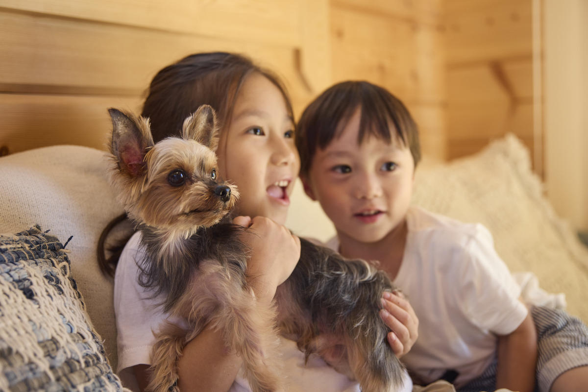 日光市に愛犬OKのトレーラーハウス 専用ドッグラン＆SLも満喫 | いこー