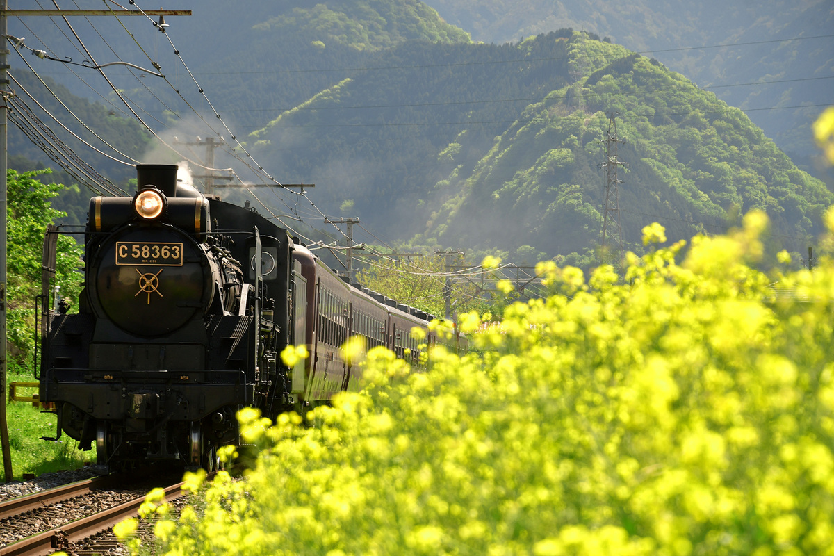 large.jpg?1678927965