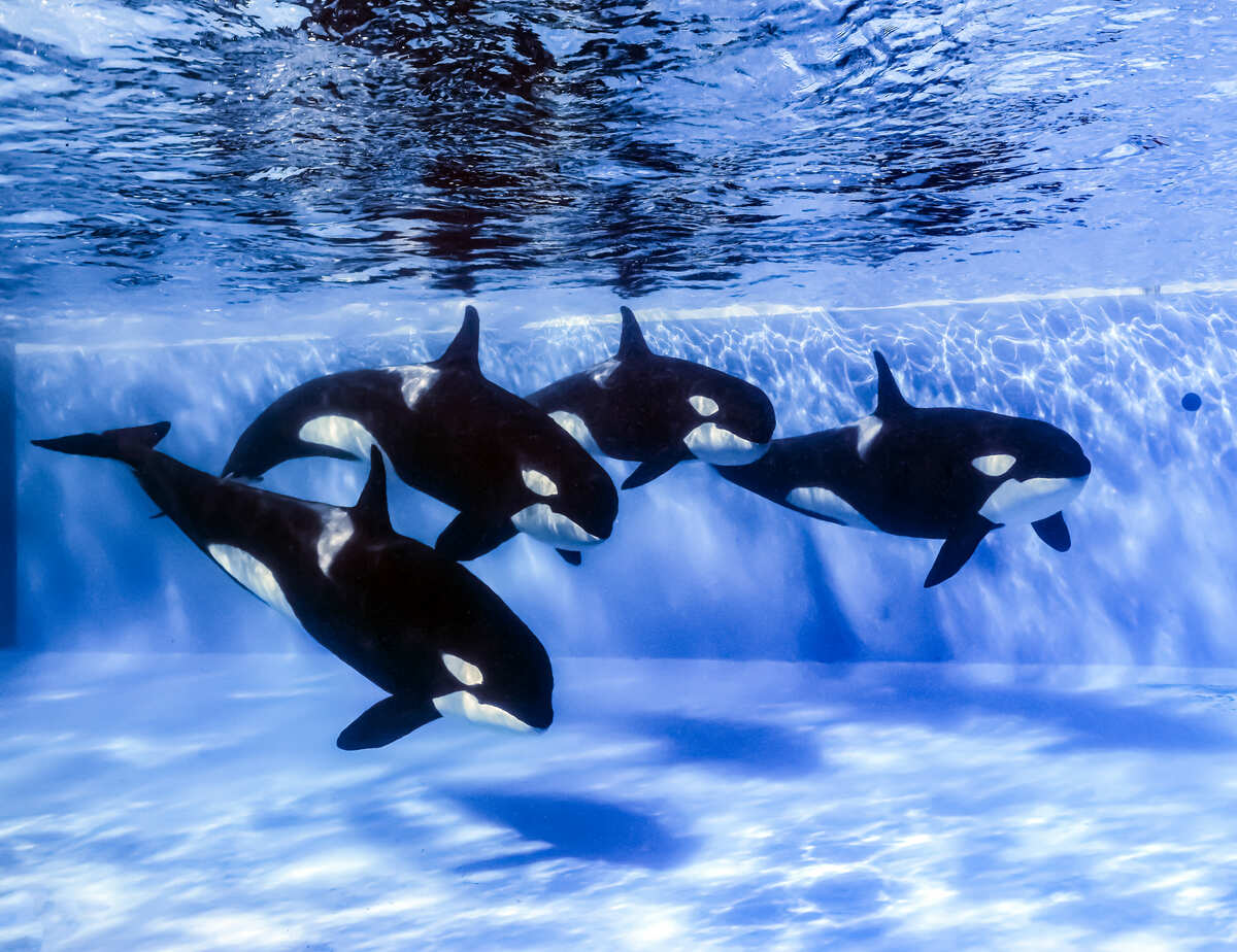 large.jpg?1694137923