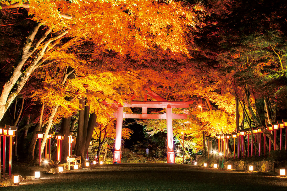 large.jpg?1697443820