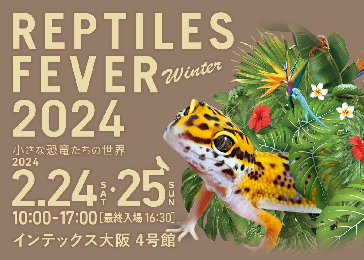 大阪市で爬虫類の展示販売イベント 小動物とのふれあい体験も | いこー
