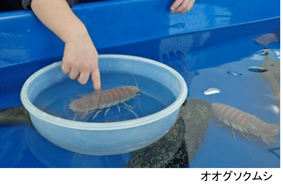 large.png?1705368260