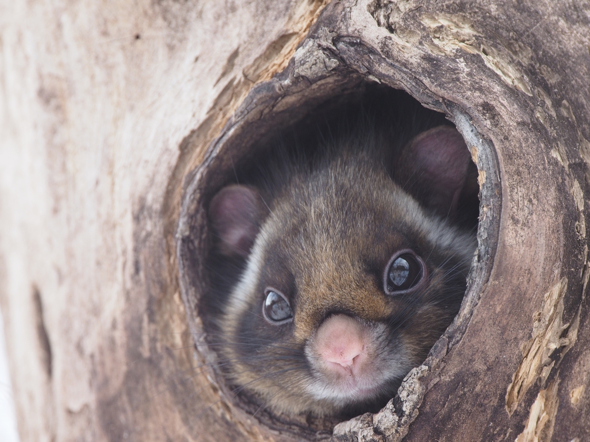 large.jpg?1705979079