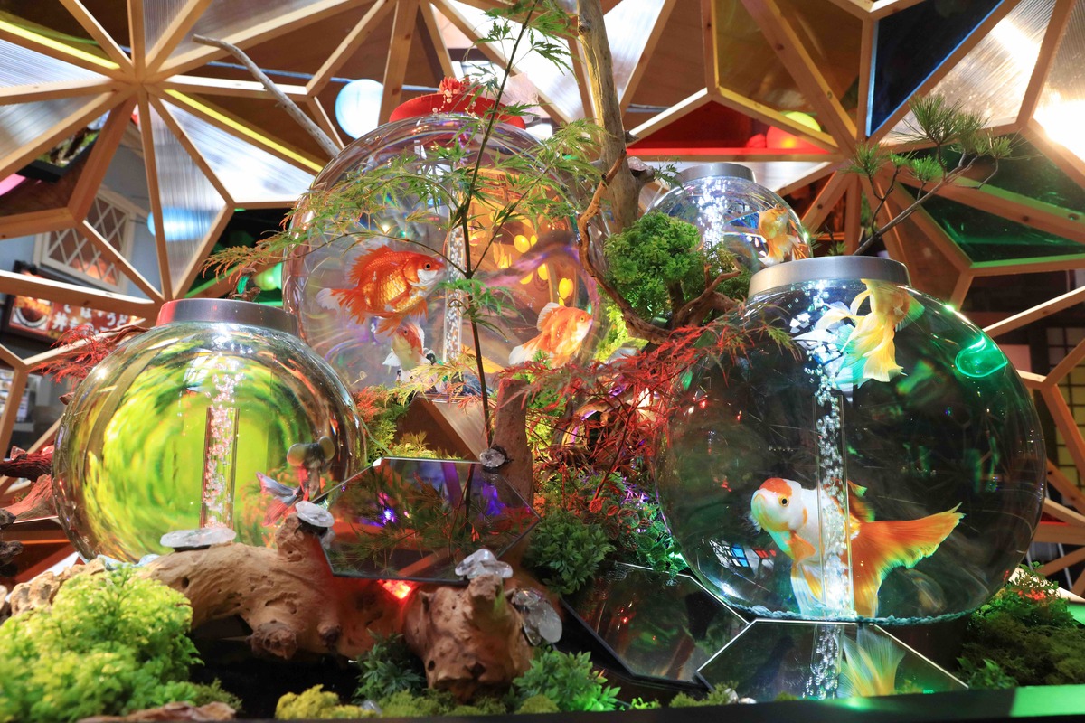 金魚置物 金魚銅像 銅雕ティーポット 金属工芸品 金龍魚 イオンモール沖縄ライカムに「沖縄金魚ミュージアム〜龍と金魚の