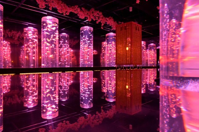 めっちゃ桜！2024」がアートアクアリウム美術館 GINZAで開幕