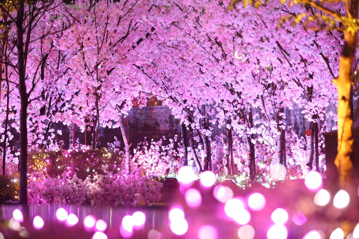 月夜桜 J-STAGE スタンダード レギュラータイプ専用 背面デザインシート