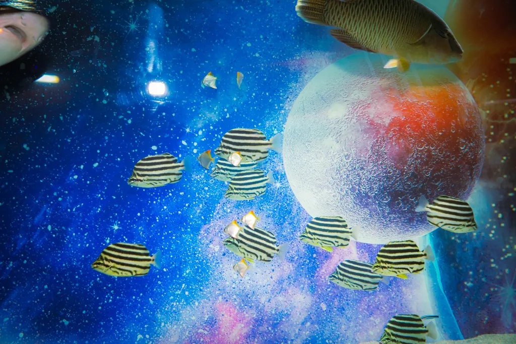 名古屋の「mozoワンダーシティ」で水族館イベント「UNDER WATER SPACE