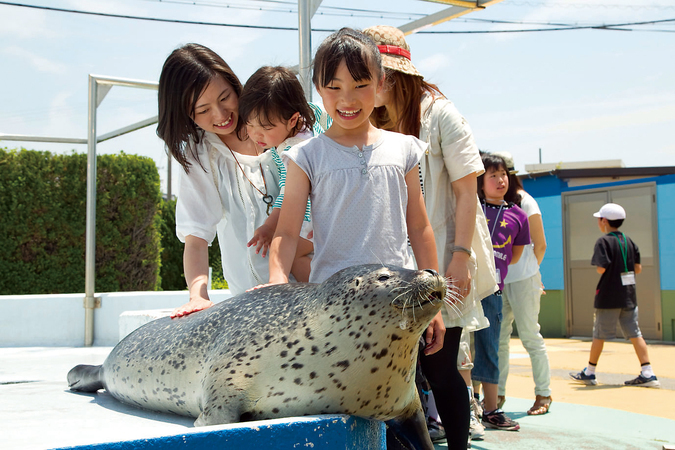 東海】2024年GWのおでかけにおすすめ！人気の水族館ランキング | いこ