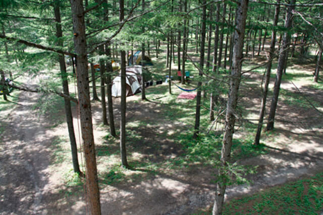 赤ちゃん 子連れウェルカム コテージキャンプのメリット 初めてのキャンプ体験にも いこレポ