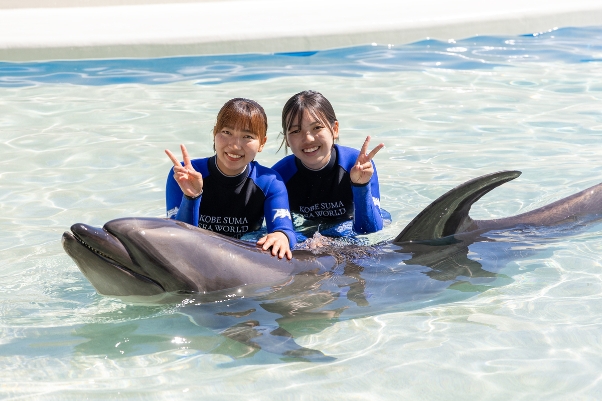神戸須磨シーワールドホテルに日本初常設「ドルフィンラグーン」誕生