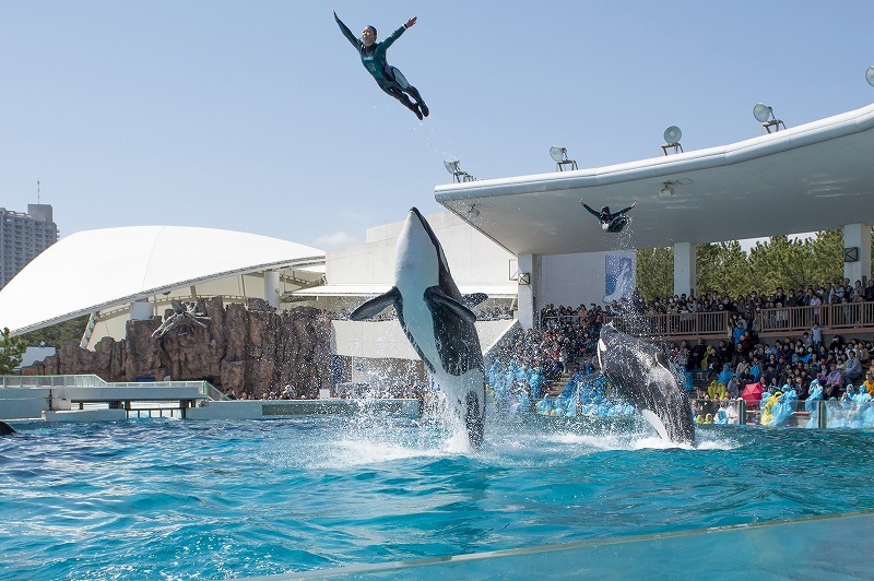 2024年6月15日（土）は「千葉県民の日」！ 人気施設が無料＆割引でお得