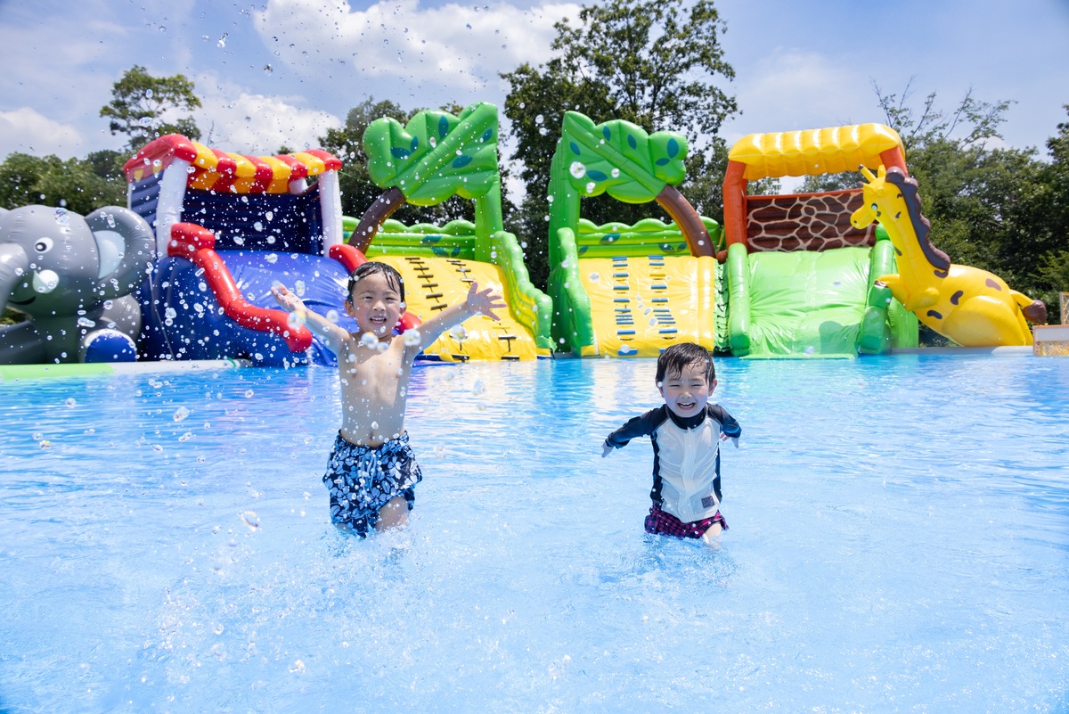 large.jpg?1720013434