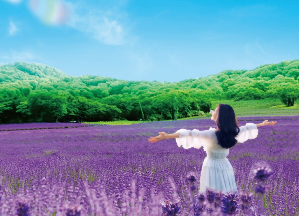 large.jpg?1720195024