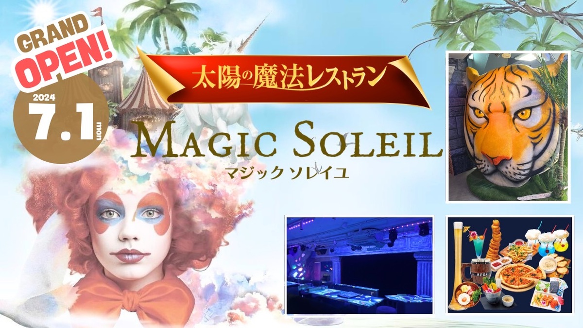 ソレイユ (soleil) ／太陽のアートブック ソレイユ (soleil) ／太陽の