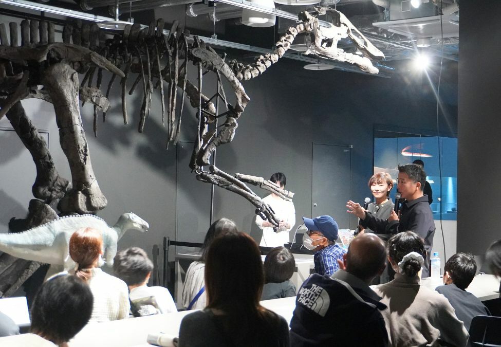 北海道初山別村産　クモヒトデ化石　密集標本　貴重標本　化石 リストアのない貴重なクモヒトデのマルチプレート化石。見事な星