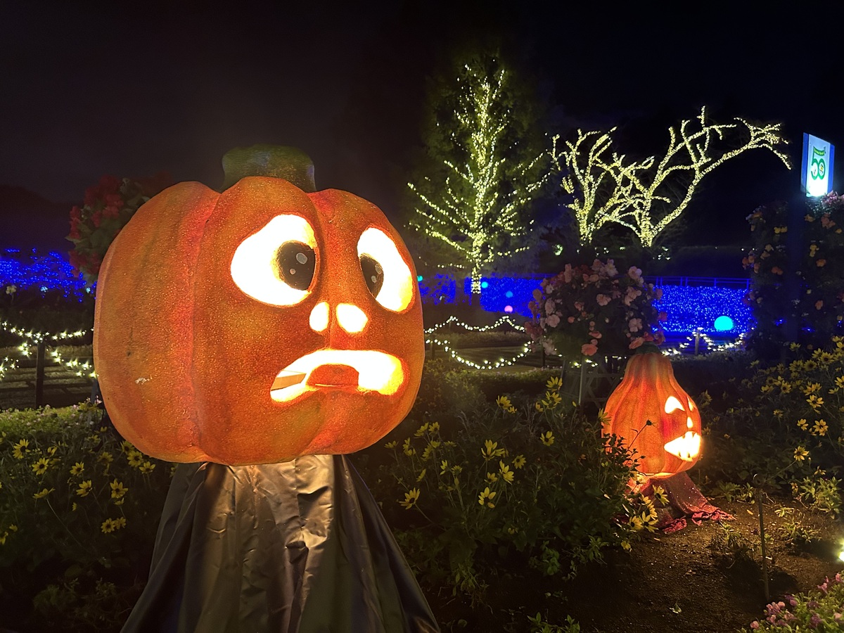 ゾンビ お化け屋敷 ハロウィン イルミネーション Zombie ゴールドヘッド 埼玉県「国営武蔵丘陵森林公園」で森のハロウィンナイト開催！ SNS映え