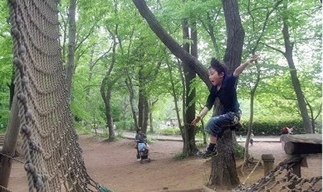 大人も全力で楽しもう 千葉県の 大人も楽しめるアスレチック 6選 Retrip リトリップ