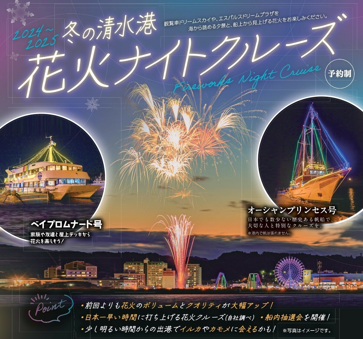 静岡市の清水港で花火クルーズ！ イルカウォッチングやユリカモメへの