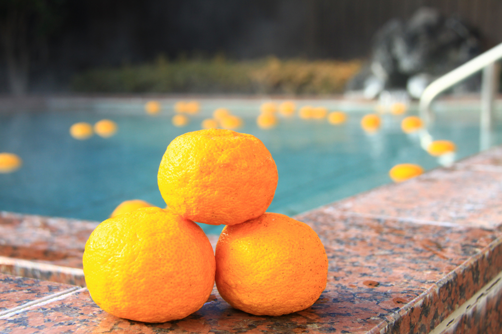 large.jpg?1733984493