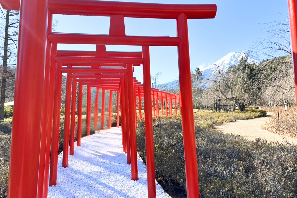 富士山×千本鳥居！忍野しのびの里に新フォトスポット誕生 忍者衣装の