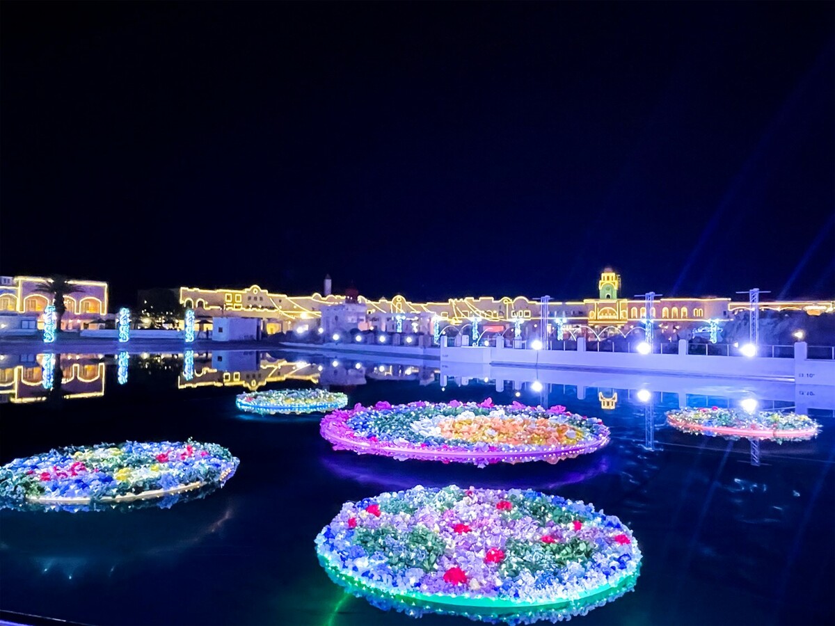 large.jpg?1734408057