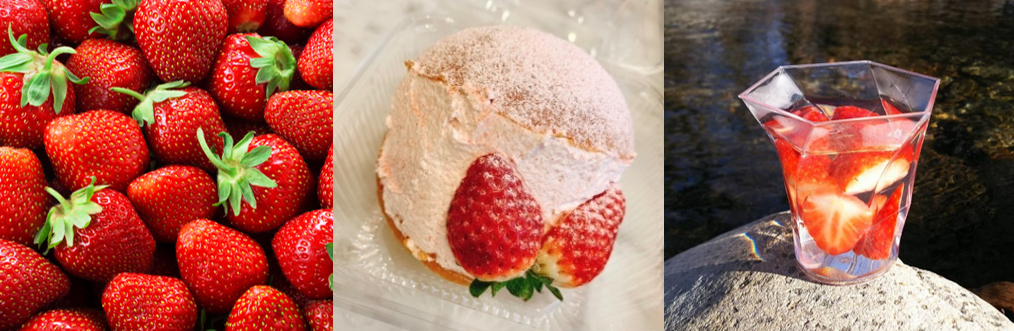 ヒルズマルシェでストロベリーフェス いちごスイーツ多数＆親子向け