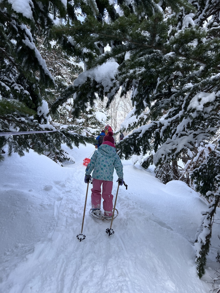 ゆきのお散歩※゜様の専用ページ お散歩は季節をまとって。トクベツなおでかけ編 オンラインくじ
