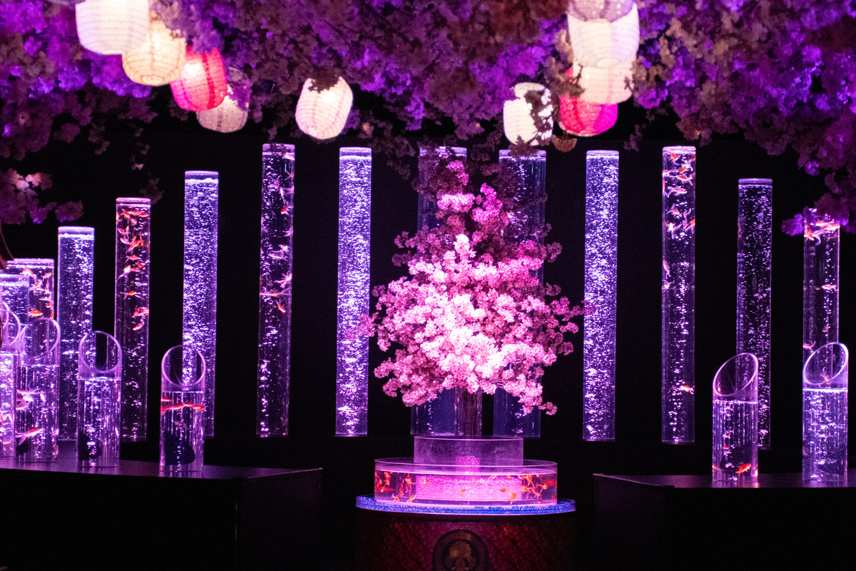 large.jpg?1740734643