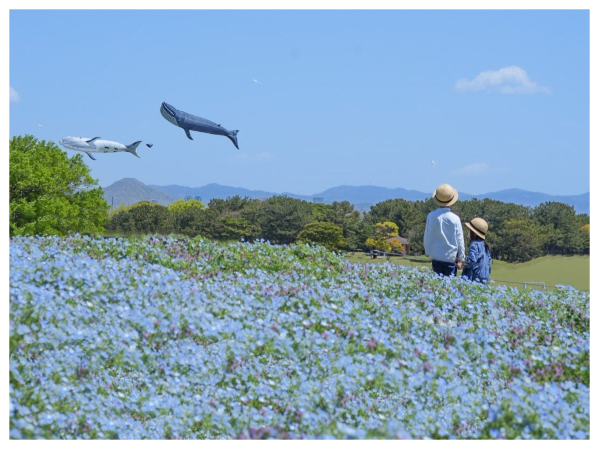 large.jpg?1744007165