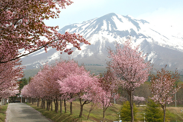 large.jpg?1629358316