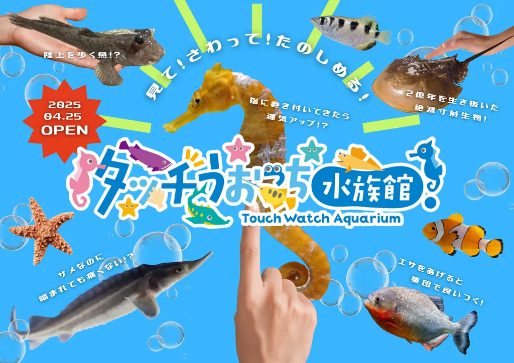 横須賀ソレイユの丘に体験型水族館が新オープン 全12種の珍しい水中 
