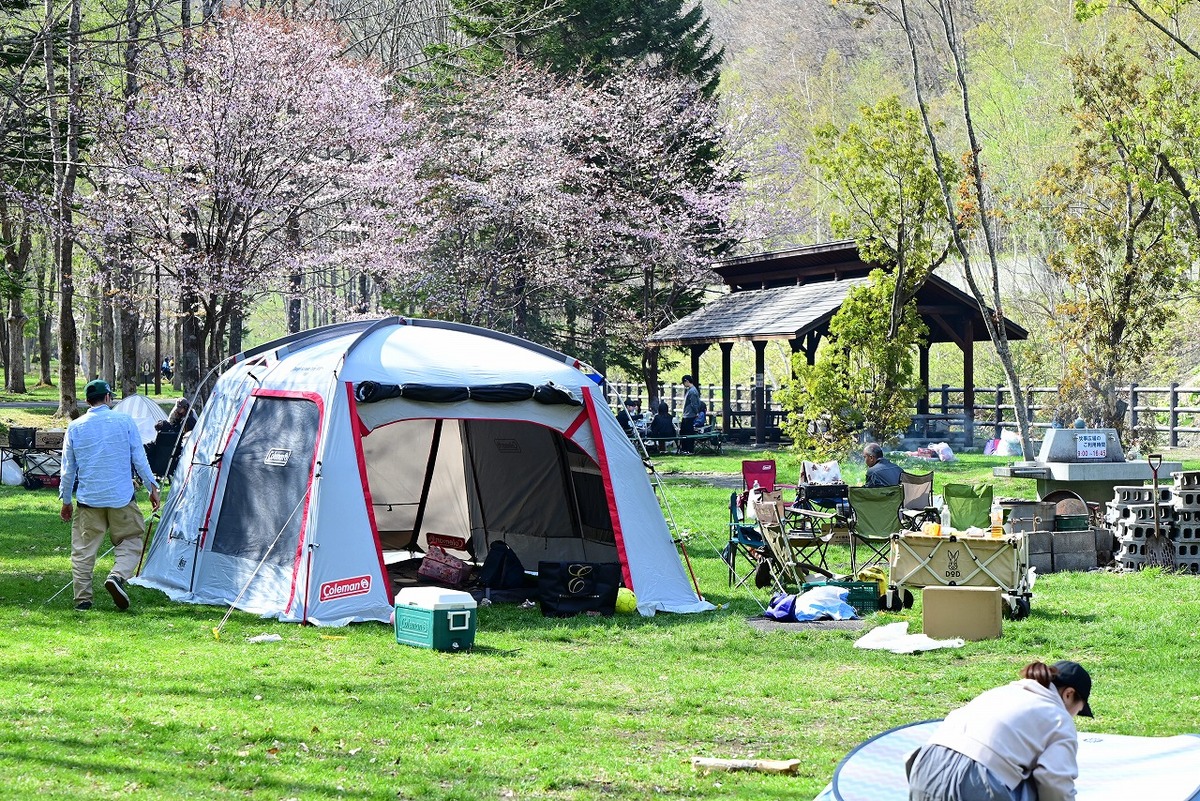 large.jpg?1745819751