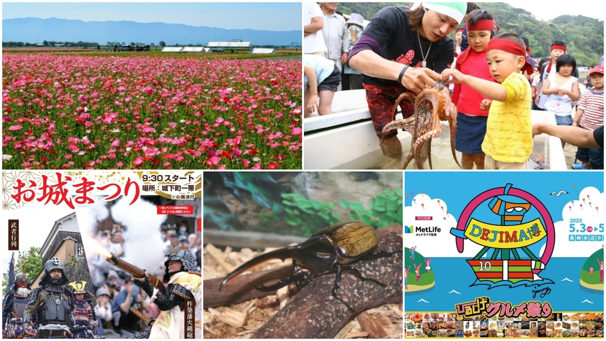 large.jpg?1745991026