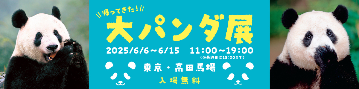 シャンシャン誕生日記念！新宿で入場無料の大パンダ展 限定
