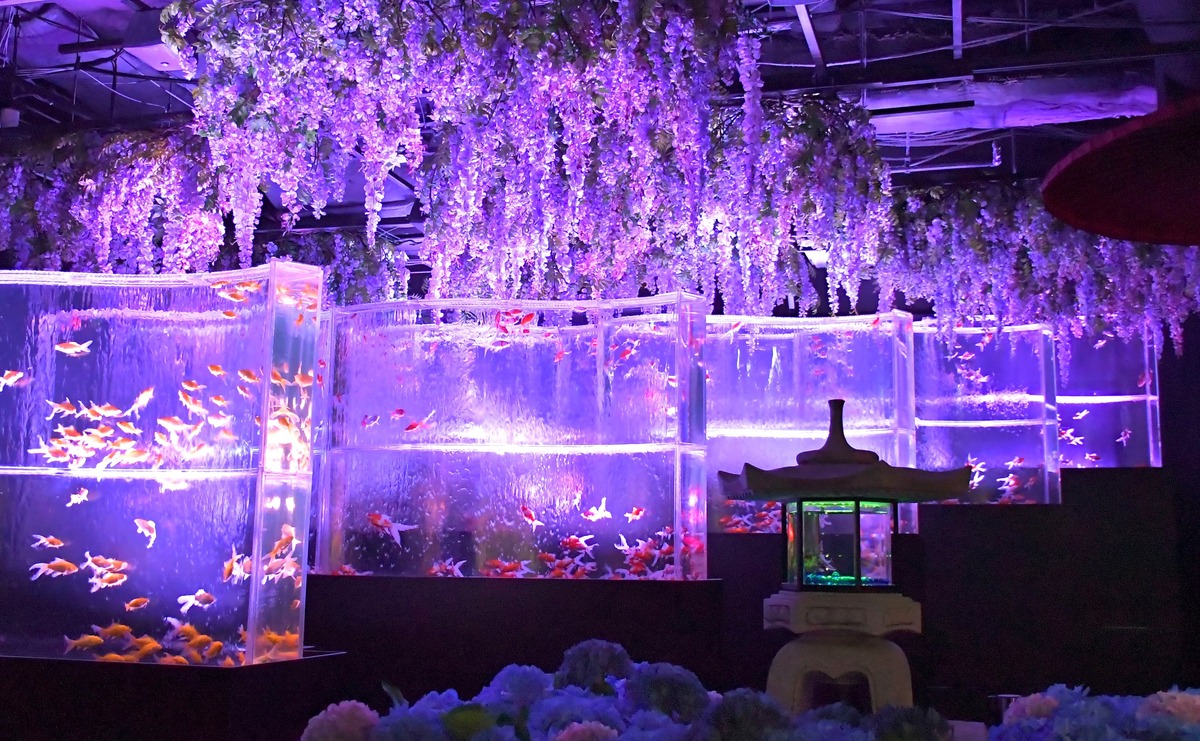 large.jpeg?1747799207