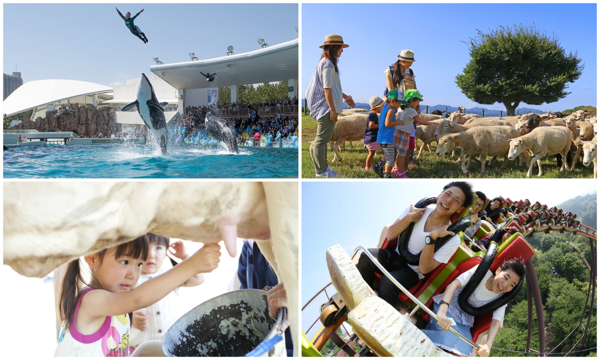 千葉県民 ちば県民だより 令和7年（2025年）／千葉県