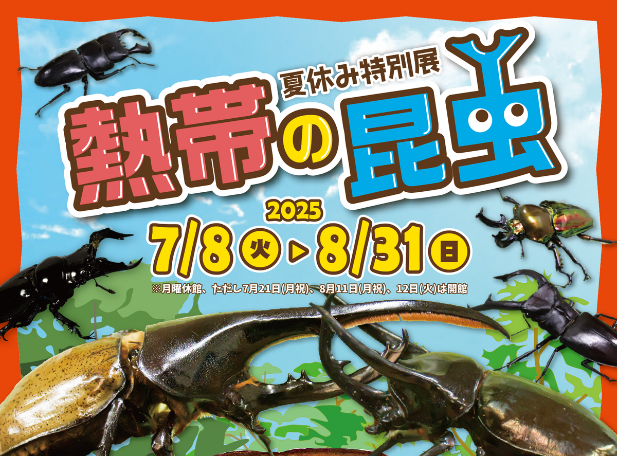 昆虫大系 Amazon.co.jp: JQDY 16cm特大 虫除け トンボ 昆虫 蜂よけ 玄関