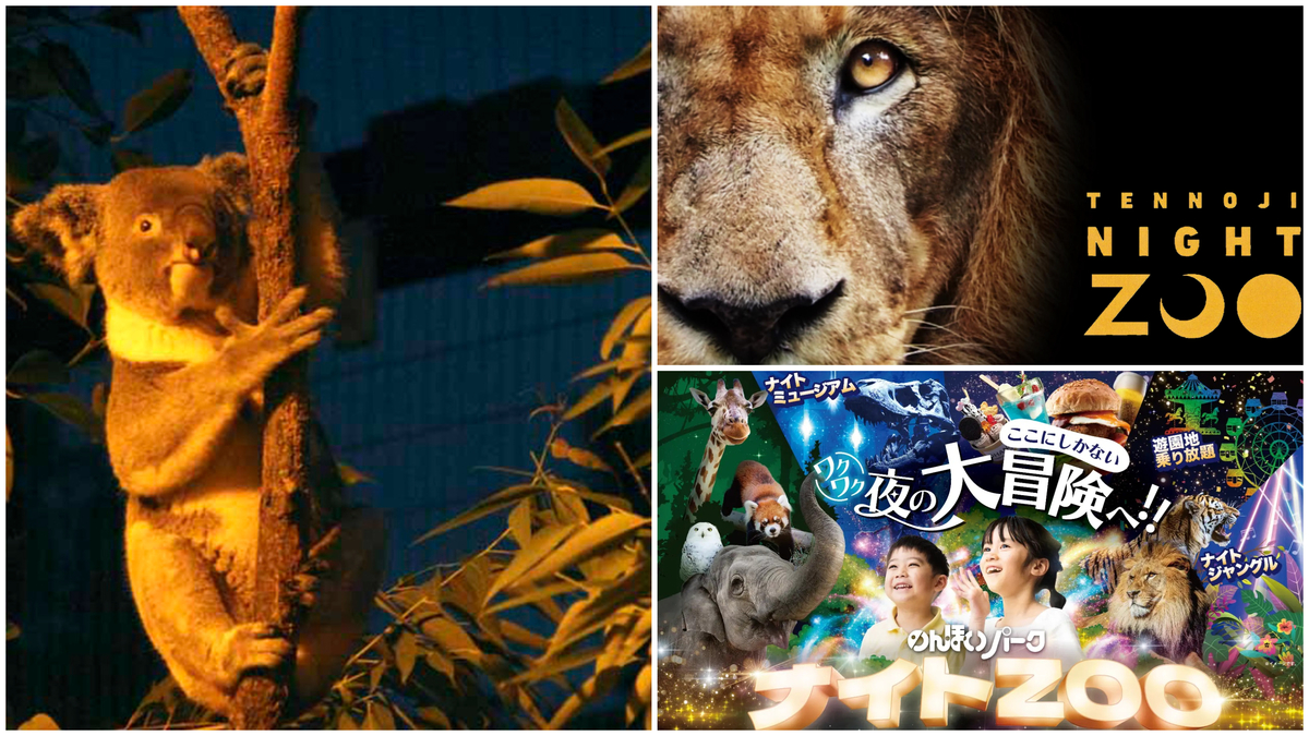 large.jpg?1756360103