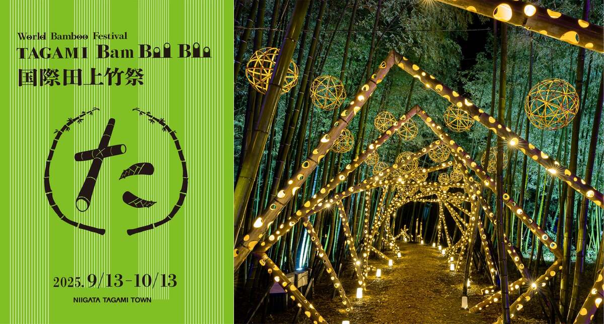 竹林で幻想的な竹あかりアートとロープアスレチック！「たがみバン