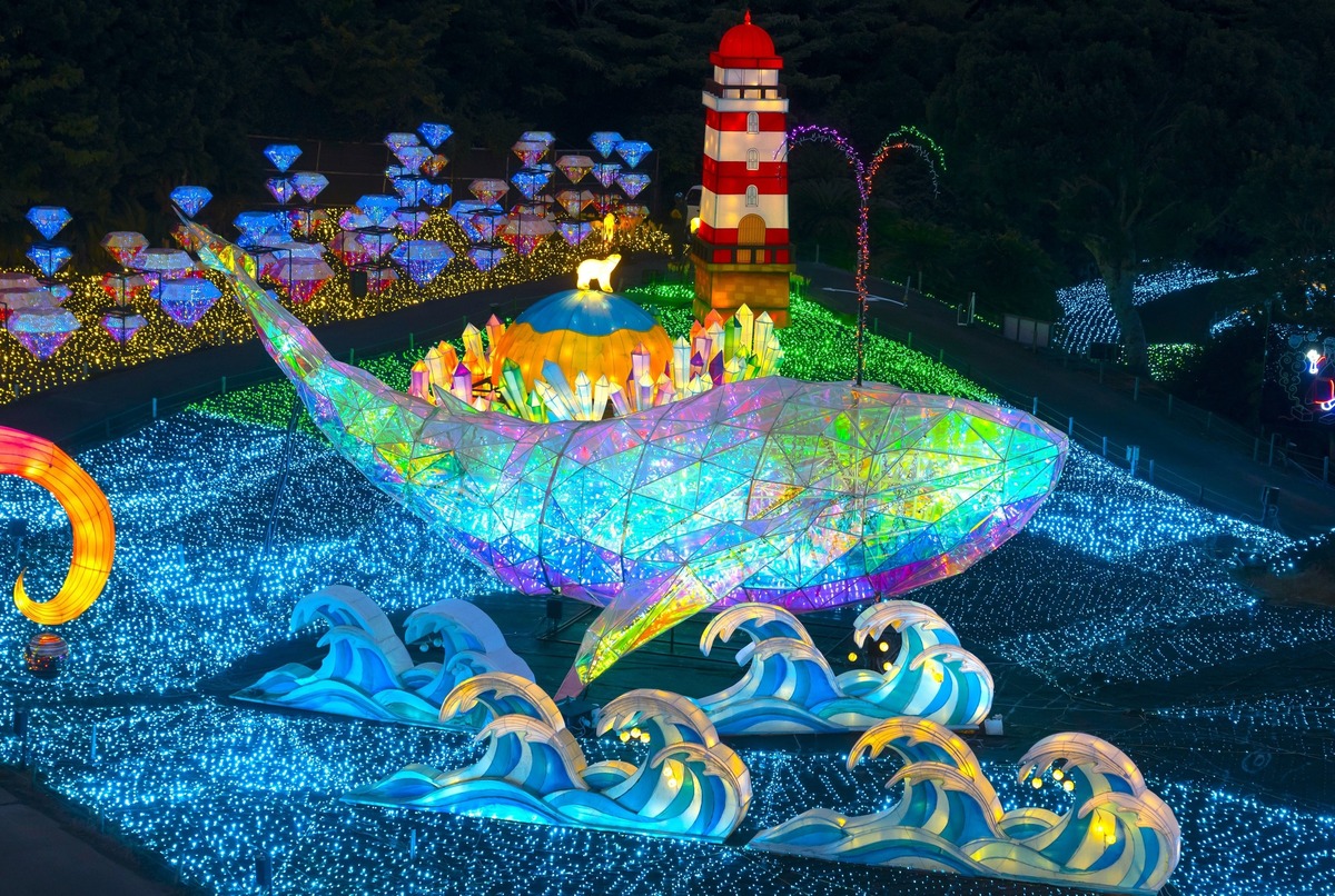 イルミネーションに飛龍 8号 large.jpeg?1757648350