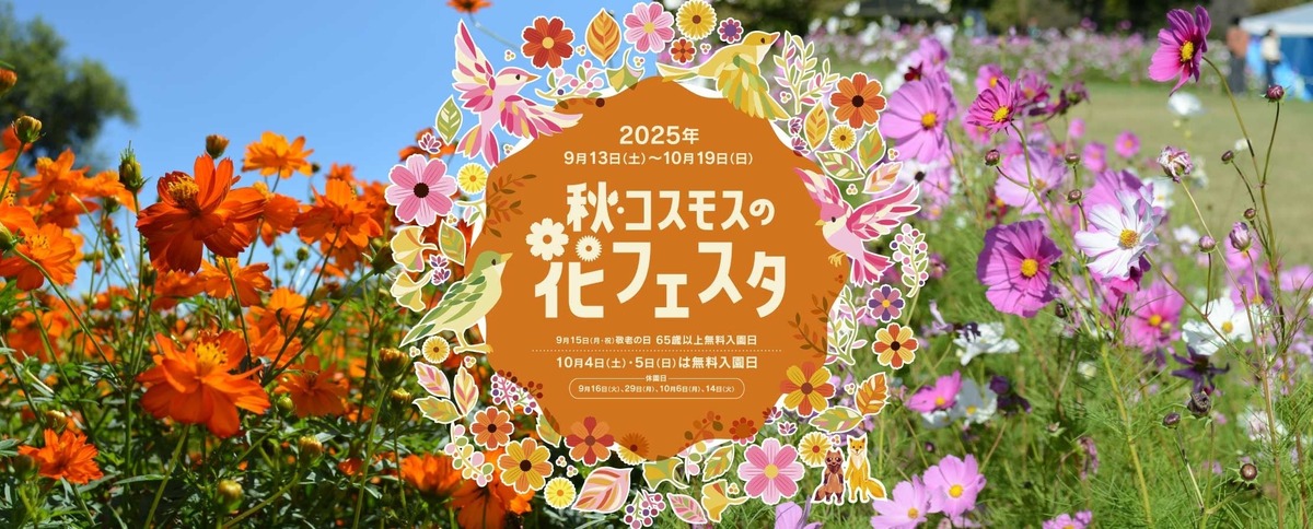 長野・安曇野で80万本のキバナコスモスと18万本のコスモスが楽しめる花