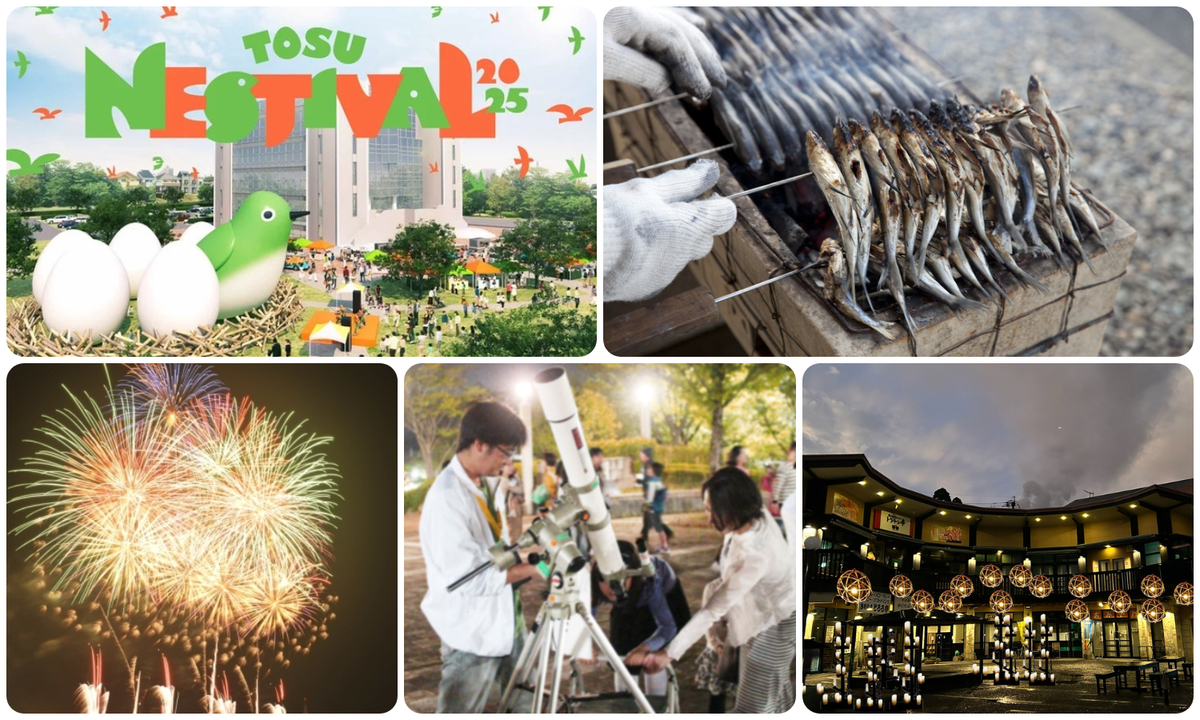 large.jpg?1759303396